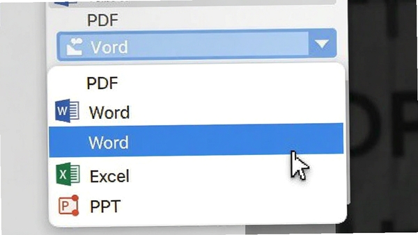 չʾͼƬ�ϲ�תPDF���������ʽѡ��˵��Ľ�ͼ�������б�����PDF��Word��Excel��PPT��ѡ������ͣ��Wordѡ���ϣ������������ˡ�