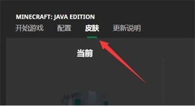 Skin Editor 3D