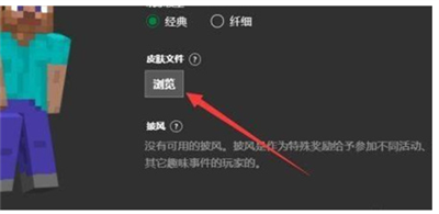 Skin Editor 3D