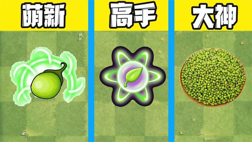 ֲ���ս��ʬˮ���ж�(PvZ Watery Ops) ʵս���� ������ʹ��ʱ��