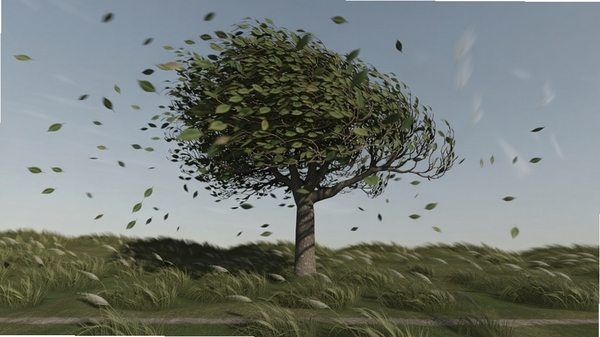 SpeedTree��̬�糡ģ��Ч����һ�ô�����ǿ����ҡ�ڣ�ҶƬƮɢ������ݴԳʲ���״��������������������ʵ��