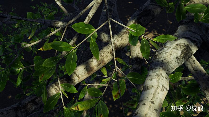 SpeedTree-��Ч��άֲ����ģ���߽�ͼ