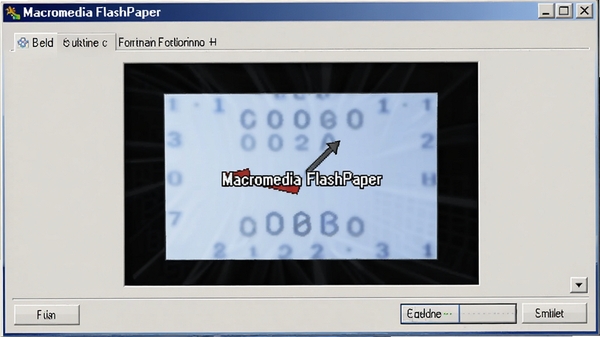 Macromedia FlashPaper��ʽѡ���ܽ���