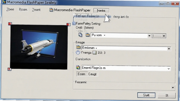 Macromedia FlashPaper��ȫȨ�����ý���