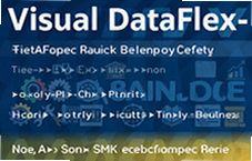 Visual DataFlex���ٿ������� רҵ�ʹ������ݿ⿪�������Ƽ�
