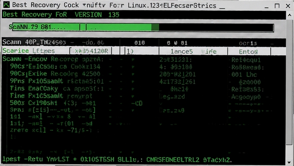 Best Recovery For Linux������ģʽ���н�ͼ���ն˴�������ʾɨ����������ļ��б�����ɫ�������������Ϊ��ɫ������������������汾��Ϣ���ײ��в�����ʾ����񸴹ŵ�ʵ�ã�ͻ�������н���ĸ�Ч�������