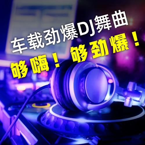 ����DJ-��������DJ���ֺ� ��Ʒ���������� ����U������