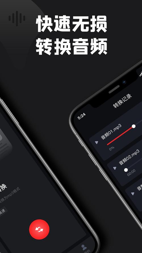 MP3��Ƶת����ʦ-ȫ����Ƶ��ʽת��ר�ҽ�ͼ0