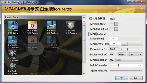 MP4/RM转换专家 白金版格式转换界面,显示多种输出格式选择和参数设置