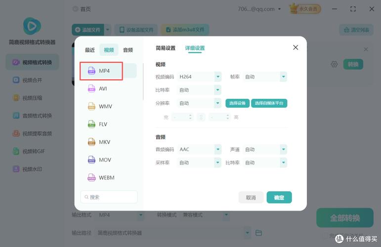 MP4/RM转换专家 白金版-全能视频转换利器 批量转换 功能设置 选项