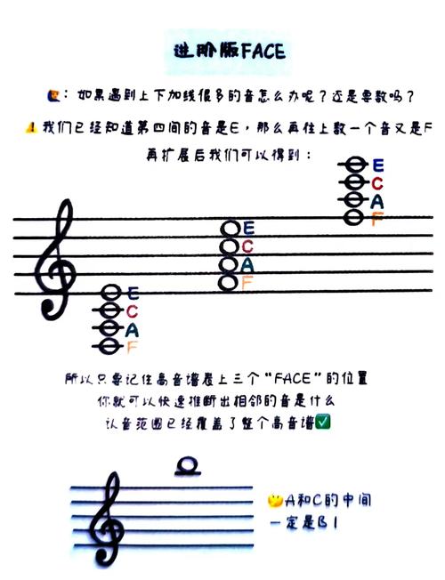 ССĪ������������������-����ѧ�����׽�ͼ