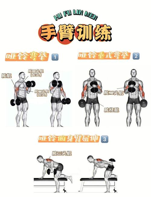 �����˶�-�����˶��������� ͽ��ȼ֬����ʾ�� ��������ָ��