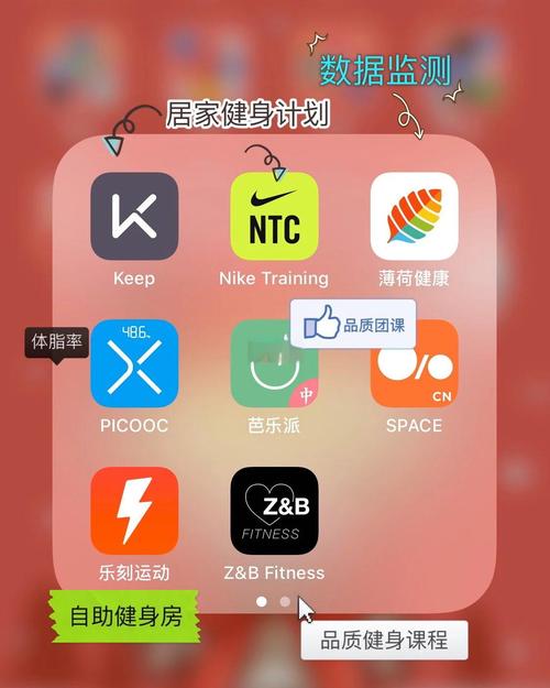 �����˶�-�����˶��������� �ֻ�����Ӧ�ý��� ��Чȼ֬����