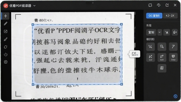 �ſ�PDF�Ķ���OCR����ʶ���ܣ���ѡɨ������ֲ�����