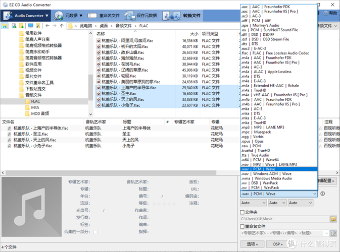 Flac Ripper - ������Ƶת������ ����ת�����ò���