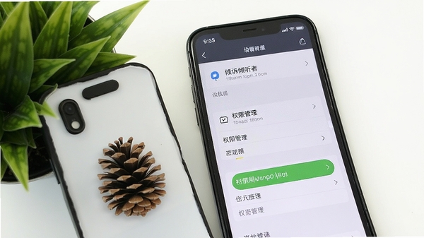 �ɹ�����������APP���ֻ������е�ʵ��ͼ��չʾ���ý����е�Ȩ�޹���ѡ��Ա����ֻ�ģ�ͺ���ֲ��������������