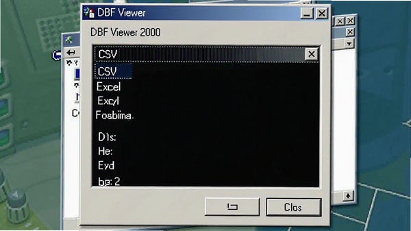 DBF Viewer 2000�������ݸ�ʽѡ��Ի����г�CSV��Excel��ѡ��