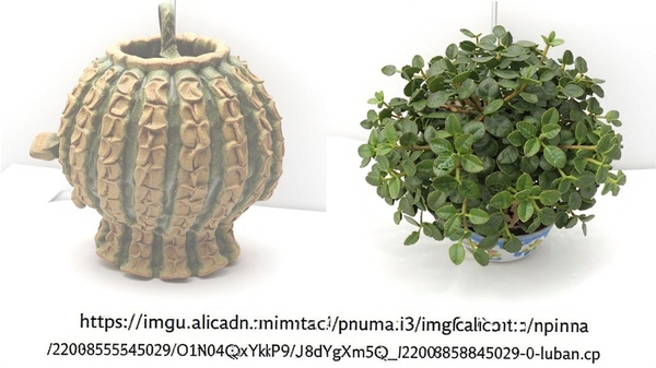 https://img.alicdn.com/imgextra/i3/2208858545029/O1CN01QxYkPc1hJ8dYgXm5Q_!!2208858545029-0-luban.jpg