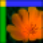 XPictureͼƬ�����-��쿴ͼ�ر�����v3.8.2 �ٷ�����