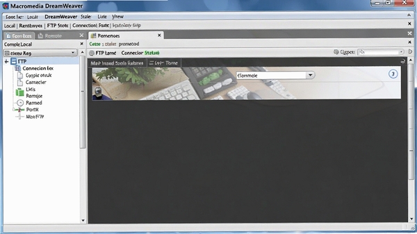Macromedia Dreamweaver վ�������壬չʾ������Զ���ļ�ͬ�����棬���� FTP ����״̬��������ʵ��
