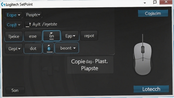 Logitech SetPoint �����Զ������ý��棬չʾ�����ָ��Ϊ����ճ����ʾ���������࣬���ͼʾ����