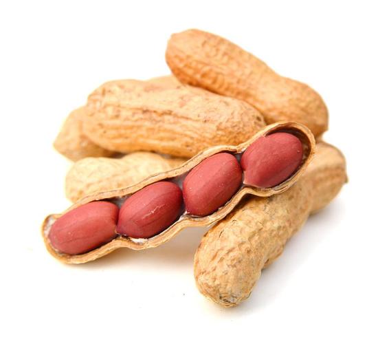 ������-������͸Զ������ר�ҽ�ͼ2