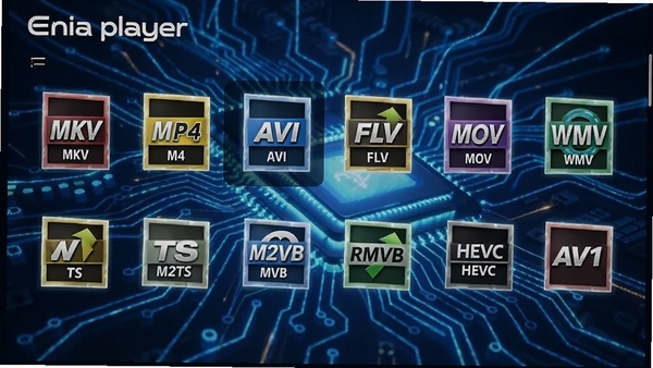 Enia Player�ĸ�ʽ֧���б����棬ͼ�����չʾ��MKV, MP4, AVI, FLV, MOV, WMV, TS, M2TS, RMVB, HEVC, AV1�ȳ�����ʽͼ�꣬����Ϊ�Ƽ��й�Ч