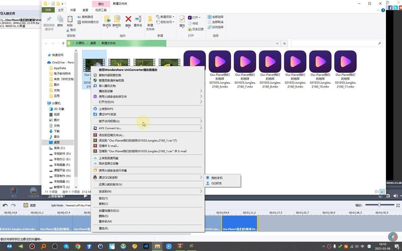 AVS Video ReMaker-��Ƶ����������ͼ1