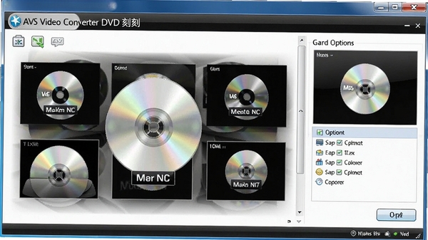 AVS Video Converter DVD ��¼���棬չʾ���̲˵�ģ��Ϳ�¼ѡ��