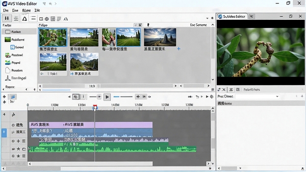 AVS Video Editor�������ͼ��չʾʱ���߱༭�����زĿ��Ԥ�����ڣ���������������������Ļ��񣬻������Ϊ16:9�����廭��