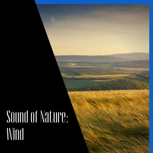 Natural Wind-��Ȼ����԰��ͼ1