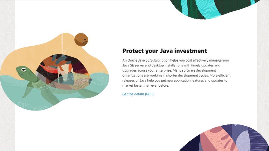 Java SE Development Kit ��JDK��-��ƽ̨������ʯ��ͼ0