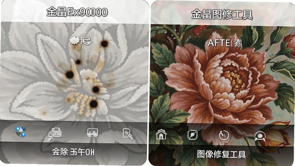 金昌Ex9000图像修复工具特写,展示污点去除前后的花稿细节,工具栏图标清晰