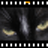 PhotoFilmStrip-��������ӰƬ���v3.1.0 �ٷ�����