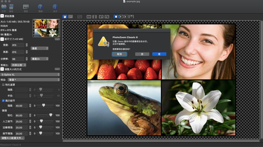 PhotoZoom Pro-����Ŵ�ר�ҽ�ͼ1