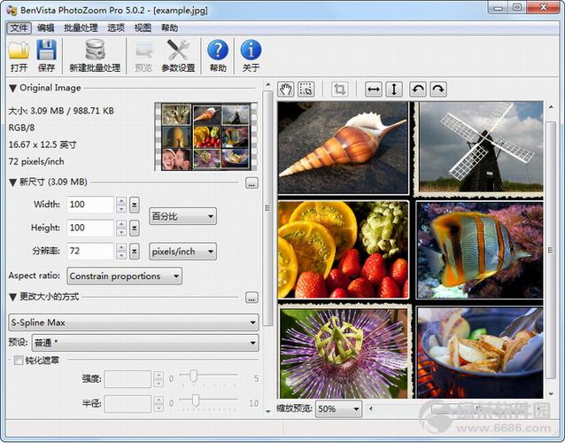 PhotoZoom Pro-����Ŵ�ר�ҽ�ͼ3