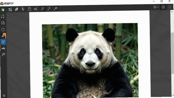 ��èPDF�Ķ����������ͼ��չʾ�������ĵ��Ķ���ͼ����Ĺ���������
