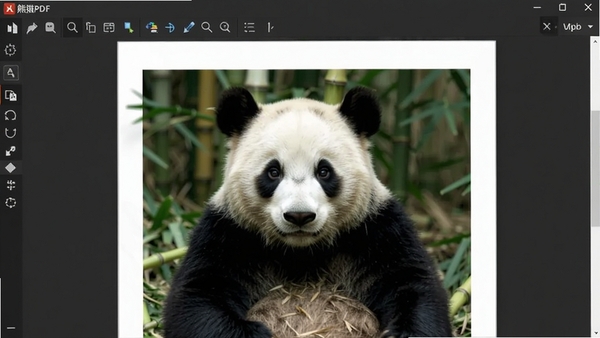 ��èPDF�Ķ����������ͼ��չʾ�����ĵ���Ⱦ���๤����