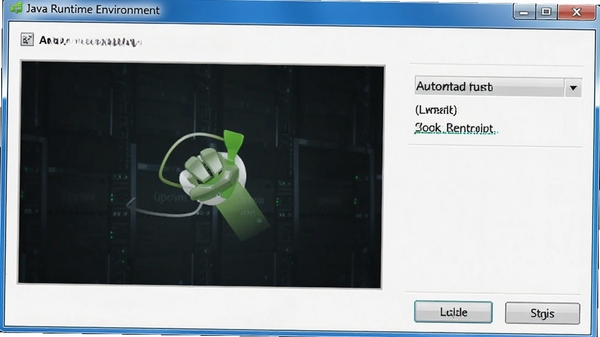 Java Runtime Environment�Զ����¹��ܽ���