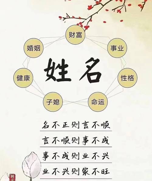 好名声五行生辰八字起名软件-专业起名助手截图0