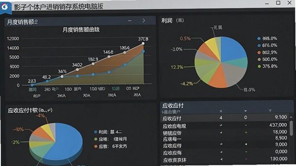 影子个体户进销存系统电脑版的财务报表界面,展示月度销售额曲线图、利润饼状图和应收应付列表,色彩明快,数据标注清晰。