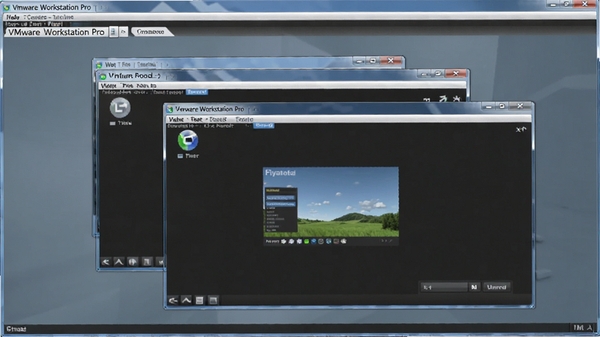 VMware Workstation Pro�������ͼ����ʾ�����������ڣ��������רҵ������3D��Ⱦ���