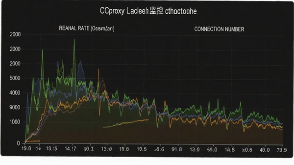 CCproxy�������ͼ������ʾʵʱ���ʺ�������