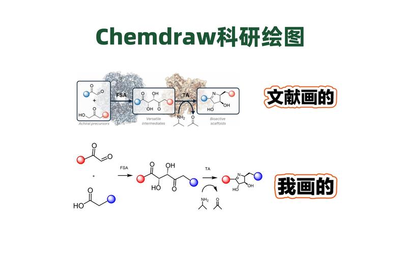 化学结构式绘图编辑软件-专业化学绘图工具截图1