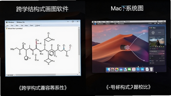 ��ѧ�ṹʽ��ͼ������Windows��Macϵͳ�µ����жԱ�ͼ�����ΪWindows���棬�Ҳ�ΪMac���棬���������ڸ��Զ�����ʾ��չʾ��ƽ̨������