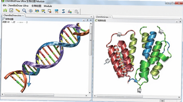 ChemBioDraw Ultra�����ͼģ�飬չʾDNA˫�����뵰���ʽṹʾ��ͼ��ɫ�����ޣ������Ѻ�