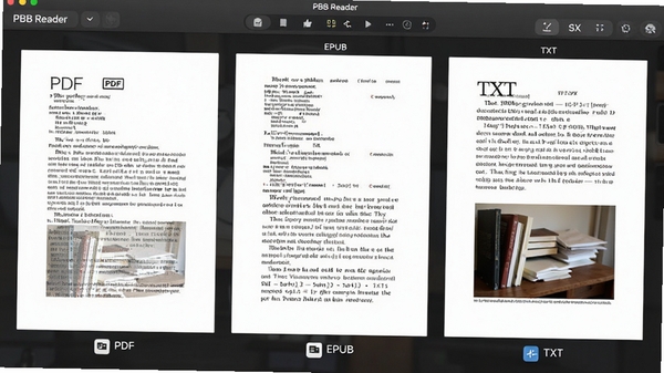 չʾPBB Readerͬʱ��PDF��EPUB��TXT���ָ�ʽ�ĵ��ĶԱȽ��棬ÿ���ĵ���������ʾ������ͼƬ����������������