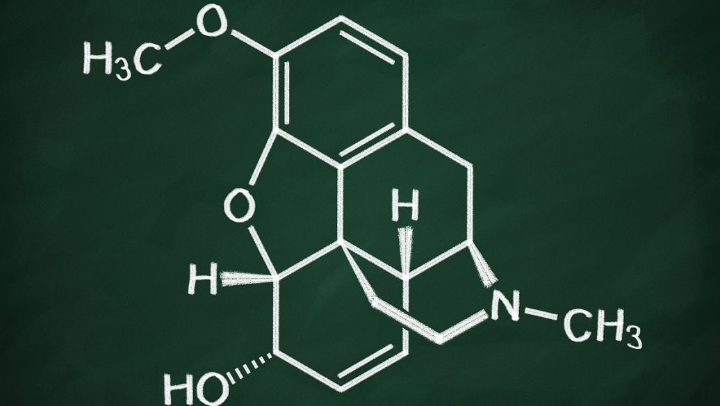 ��ѧ��Ӧ����ʽ�༭��-רҵ��ѧ���߽�ͼ0