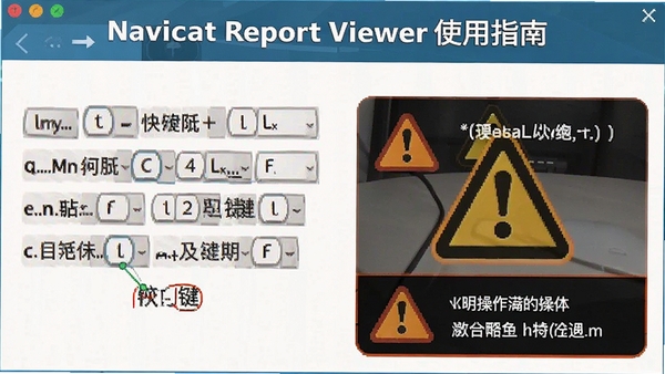 Navicat Report Viewerʹ��ָ��ʾ��ͼ��������ݼ���ע�Ͳ�����ʾͼ��