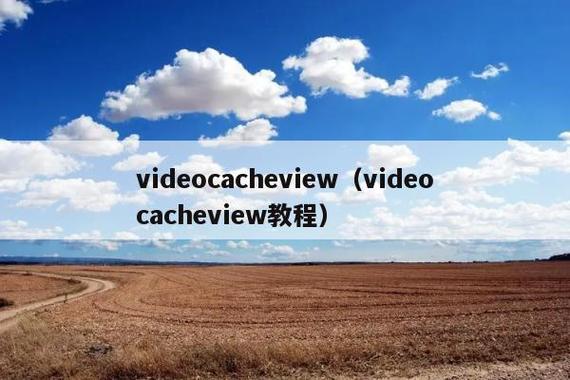 VideoCacheView-��Ƶ����鿴����ͼ2